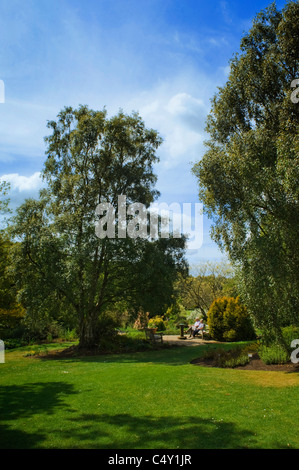 Die Gärten der Royal Horticultural Society in Harlow Carr, Harrogate, UK Stockfoto