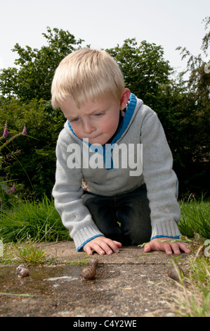 Kleiner Junge beobachten Schnecken Rennen Stockfoto
