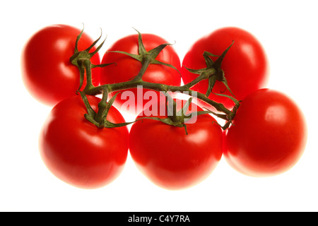 Gemüse, rote Tomate, Rebe gereifte Tomaten. Stockfoto