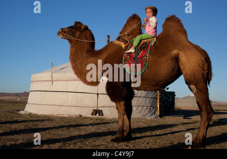 Bucklig baktrischen Kamel mit jungen Mädchen Fahrer vor Ger - Camelus Bactrianus - in den zentralen Provinzen in der Mongolei. Stockfoto