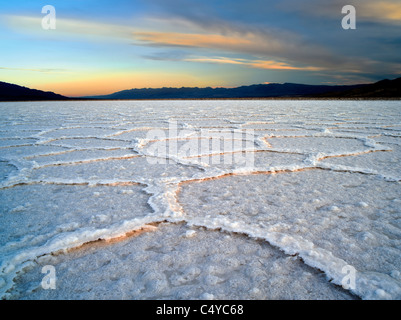 Salz Polygone. In der Nähe von Badwater. Death Valley Nationalpark, Kalifornien. Stockfoto