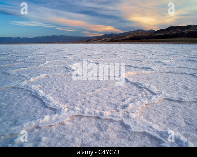 Salz Polygone. In der Nähe von Badwater. Death Valley Nationalpark, Kalifornien. Stockfoto