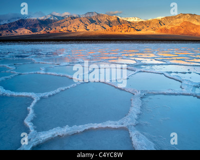 Salz Polygone mit Wasser in ihnen nach Regen Sturm. Death Valley Nationalpark, Kalifornien. Stockfoto