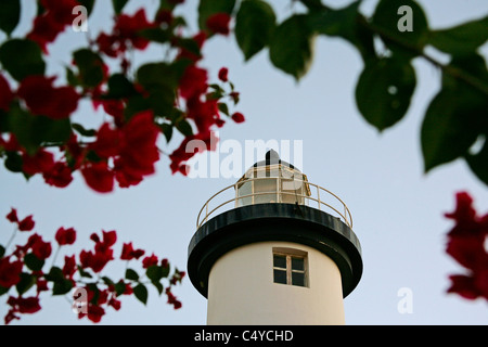 Punta Higuero Licht auch bekannt als Faro de Punta Higuero einen historischen Leuchtturm befindet sich in Rincón, Puerto Rico. Stockfoto