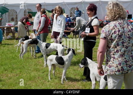 TEILNEHMER IN AGRARMESSE CHEPSTOW MONMOUTHSHIRE WALES UK ZEIGT ARBEITSHUNDE Stockfoto