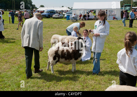 DIE TEILNEHMER & RICHTER IN LANDWIRTSCHAFTLICHEN ZEIGEN CHEPSTOW MONMOUTHSHIRE WALES UK Stockfoto