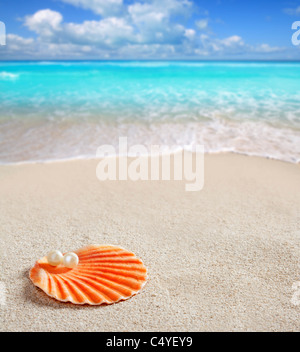 Karibische Perle auf Shell über weißen Sandstrand von einem tropischen türkisfarbenen Meer Stockfoto