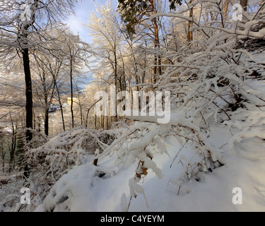 DE - Bayern: Winter-Szene auf den Kalvarienberg in Bad Tölz Stockfoto