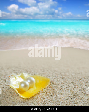 Karibische Perle in der Schale über weißen Sand in einem Sommer tropischen Strand mit türkisfarbenem Meer Stockfoto