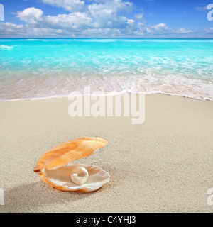 Karibische Perle im Inneren der Muschel über weißen Sandstrand Stockfoto