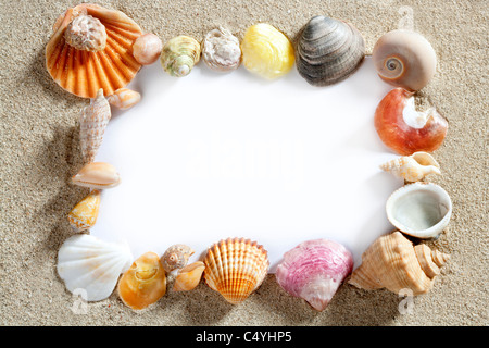 Grenze Sommer Muscheln umrahmen Zusammensetzung über Strand Sand Strand mit leerem Papier Stockfoto