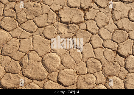 Trockene Schlamm Textur von Ton an exponierten Dead Vlei, Namib-Naukluft-Park im Zentrum von Namibia. Stockfoto