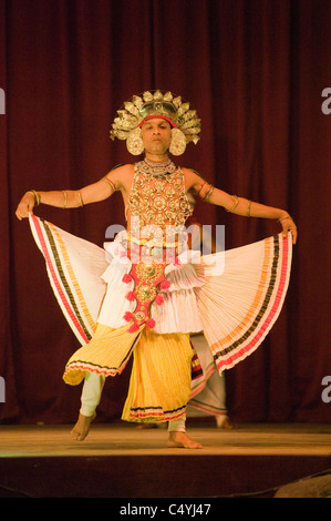 Traditioneller Tanz und Performance, kulturelle Trommeln zeigen, Kandy, Sri Lanka Stockfoto