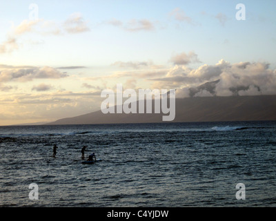 Stehen Sie Paddel-Boarder bei Sonnenuntergang, Strand Kapalua, Maui, Hawaii, USA auf Stockfoto