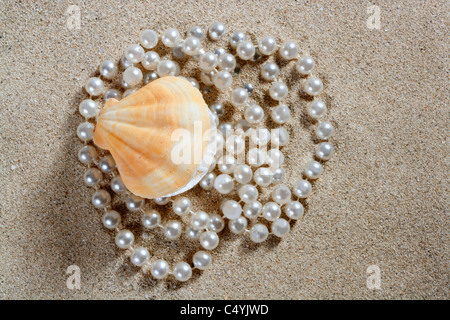 Karibische Perle im Inneren der Muschel über weißen Sandstrand Stockfoto