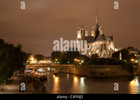 Paris - Notre-Dame Kathedrale bei Nacht Stockfoto