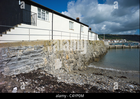 Lyme Regis Dorset Stockfoto