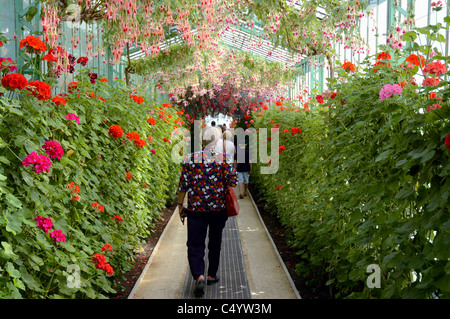 Besucher zum Tag der offenen Tür an der königlichen Gewächshäuser in Laeken, Brüssel. Stockfoto