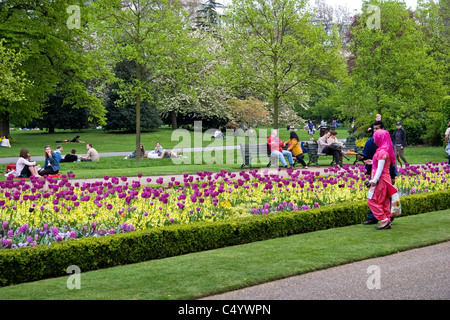 Besucher und Frühlingsblumen, Avenue Gärten, Regents Park, London, England, UK Stockfoto
