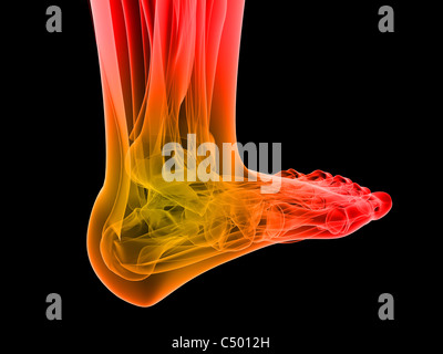 schmerzhafte Knöchel Stockfoto
