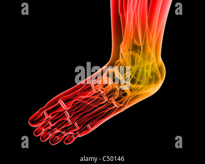 schmerzhafte Knöchel Stockfoto