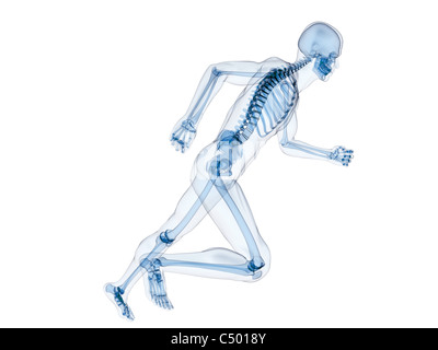 Skelett ausgeführt Stockfoto
