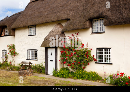 Englisch strohgedeckten Hütte - schöne alte Reetdachhaus in das hübsche kleine Dorf von Tarrant Monkton, Dorset, England, UK Stockfoto