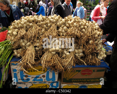 Türkei Istanbul Freiverkehr Knoblauch Stockfoto