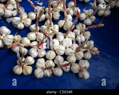 Türkei Istanbul Freiverkehr Knoblauch Stockfoto