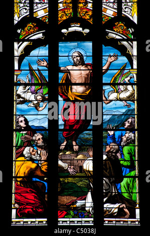 Atemberaubenden Glasfenster in Norwich Cathedral, East Anglia, England. Stockfoto