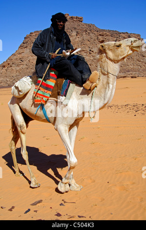 Touareg Nomade reitet einen weißen Mehari Dromedar in der Sahara Wüste, Libyen, Nordafrika Stockfoto