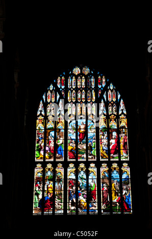 Atemberaubenden Glasfenster in Norwich Cathedral, East Anglia, England. Stockfoto
