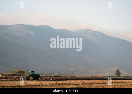 Israel, Hula-Tal, Traktor Pflüge und Kassen ein Feld Stockfoto