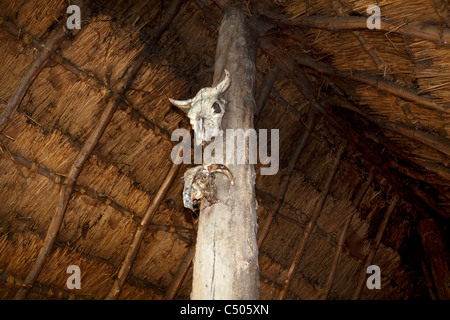 Archäologische Website Aubechies oder L'Archéosite d'Aubechies, Aubechies, Belgien, Europa Stockfoto