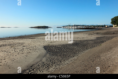 Weiden Strand mit Blick in Richtung Eiche Bucht Marina Victoria BC Kanada an einem ruhigen sonnigen Sommermorgen Stockfoto