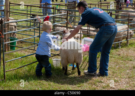 TEILNEHMER IN DER LANDWIRTSCHAFT ZEIGEN CHEPSTOW MONMOUTHSHIRE WALES UK Stockfoto