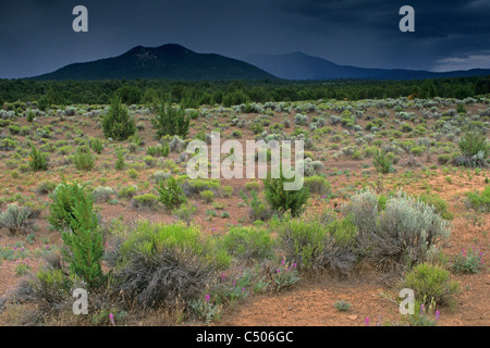 Gewitterwolken über San Francisco MTS und Kaibab Hochebene, in der Nähe von Grand Canyon, ARIZONA Stockfoto