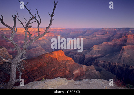 Sunrise-Licht über den Grand Canyon aus Pima Point, South Rim, Grand Canyon Nationalpark in ARIZONA Stockfoto