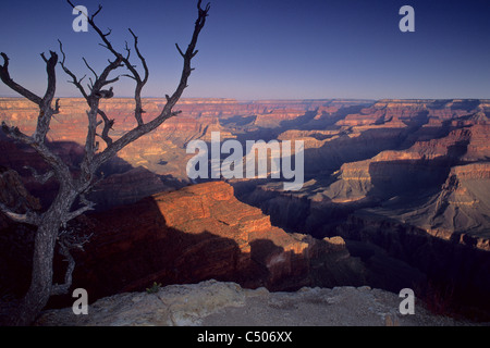 Sunrise-Licht über den Grand Canyon aus Pima Point, South Rim, Grand Canyon Nationalpark in ARIZONA Stockfoto