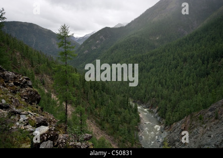 Der Kitoy-Fluss im Tal zwischen Tunkinskie Goltsy und Kitoyskie Goltsy Gebieten im östlichen Sajan-Gebirge. Sibirien. Russland. Stockfoto