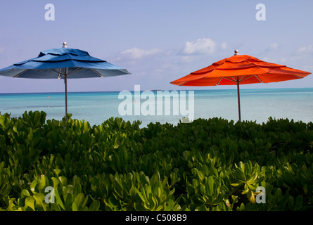 Familienstrände auf Castaway Cay bieten einen angenehmen Tag der Sonne, Sand und Meer für Disney Cruise Line Gäste, Bahamas Stockfoto