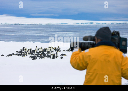 Touristen fotografieren Kaiserpinguine auf Eis vom Schiff, Snow Hill Island, Antarktis Stockfoto