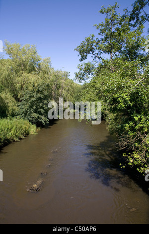 Fluß Ely mit Baum bedeckt Banken in Peterston Super Ely, Vale of Glamorgan Stockfoto