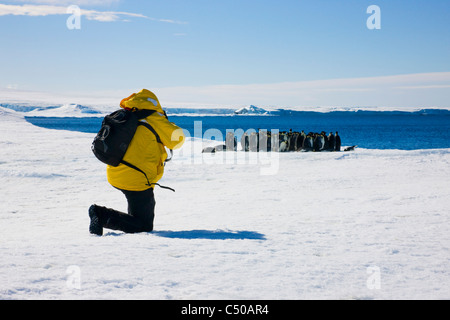 Touristen fotografieren Kaiserpinguine auf Eis, Snow Hill Island, Antarktis Stockfoto