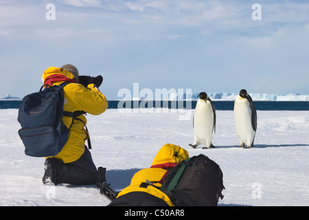 Touristen fotografieren Kaiserpinguine auf Eis, Snow Hill Island, Antarktis Stockfoto