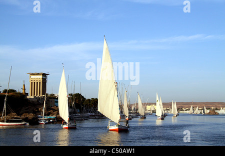 Flucca überall auf dem Nil von Assuan Stockfoto