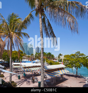 Die Innenstadt von Miami Bayside Marketplace Stockfoto