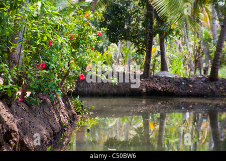 In den Backwaters von Kollam, Kerala, Indien. Stockfoto