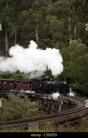 Diese Jahrhunderte alte Dampfeisenbahn läuft noch auf seiner ursprünglichen Berg-Schiene in der malerischen Dandenong reicht Melbourne Australien Stockfoto