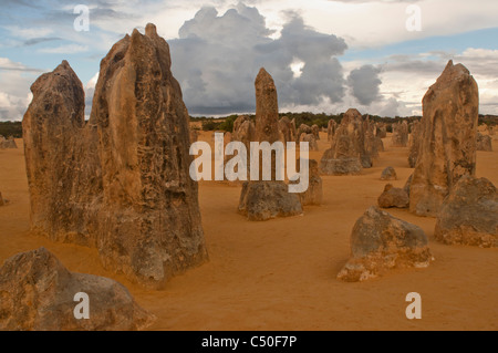 Felsformationen in der Pinnacles Desert, Western Australia Stockfoto